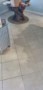 steam cleaning grout