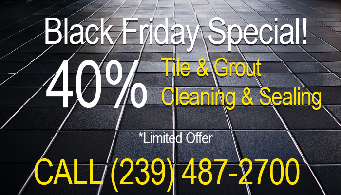 Black Friday Special